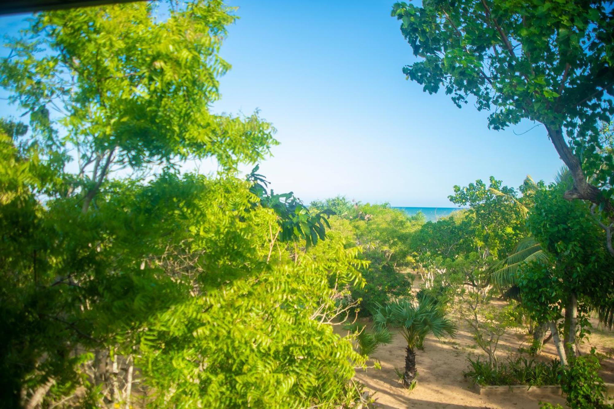 Nikara Luxury Beach House Tissamaharama Dış mekan fotoğraf